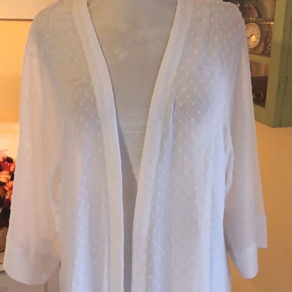 Express Dotted Swiss Duster - Picture 2 of 10